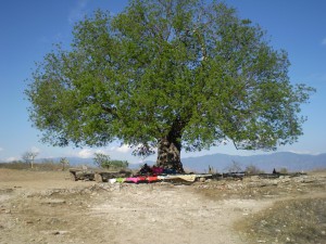 Mitla, région Oaxaca