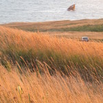 Les-Iles-de-la-Madeleine-ete-2013-040