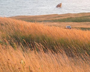 Les-Iles-de-la-Madeleine-ete-2013-040