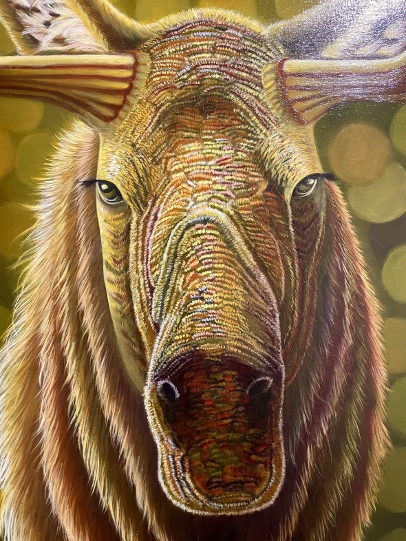Gros plan de Camouflage, Collectoin Lodge, 48 x 36, 2025